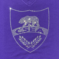 Silver OR Gold Rhinestone CSEA on PURPLE - 5 Shirt Style Choices