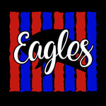 Eagles Stripes - Black - Glitter or Regular Vinyl - 5 Shirt Style Choices